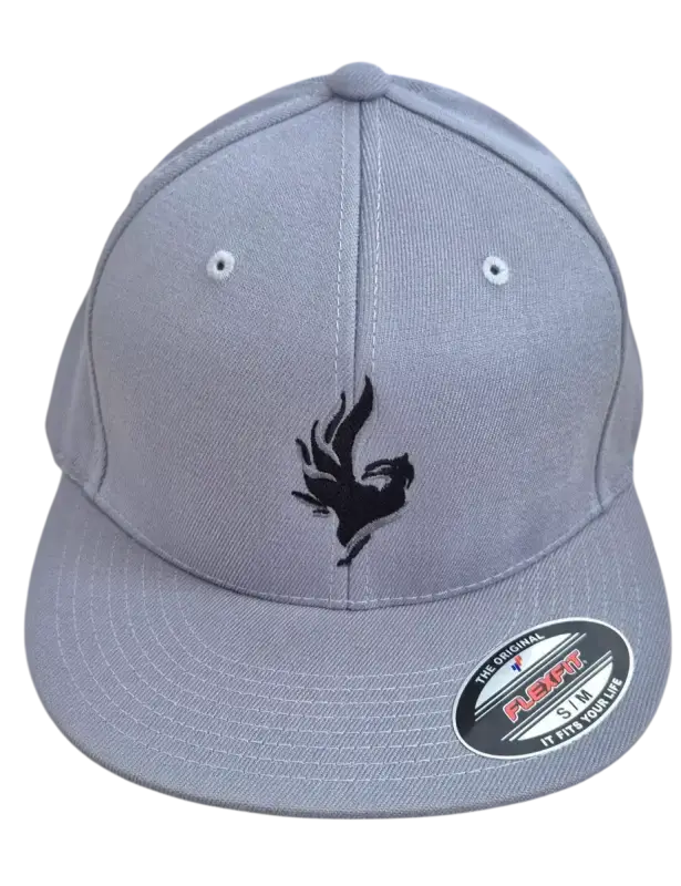 Phoenix Snapback Flexfit uni/grau Phoenix Snapback Flexfit uni/grau S/M