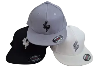 Phoenix Snapback Flexfit uni/grau Phoenix Snapback Flexfit uni/grau S/M