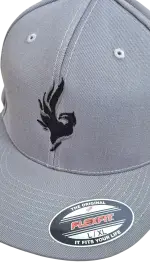 Phoenix Snapback Flexfit uni/grau Phoenix Snapback Flexfit uni/grau S/M